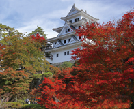 第３位【秋の郡上八幡城】 ／ 福田 弘子 （岐阜県各務原市）