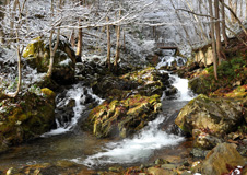 清見地域賞【初雪の渓谷】 ／ 間所 真由美 （岐阜県高山市）